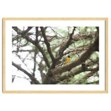 Mini sun thumbnail