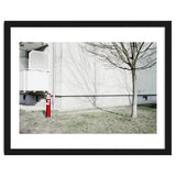 Red light pole and Tree shadow on the wall thumbnail