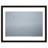Flying seagulls in the winter sky thumbnail