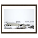 Blackbirds surrounding a frozen pond in winter thumbnail