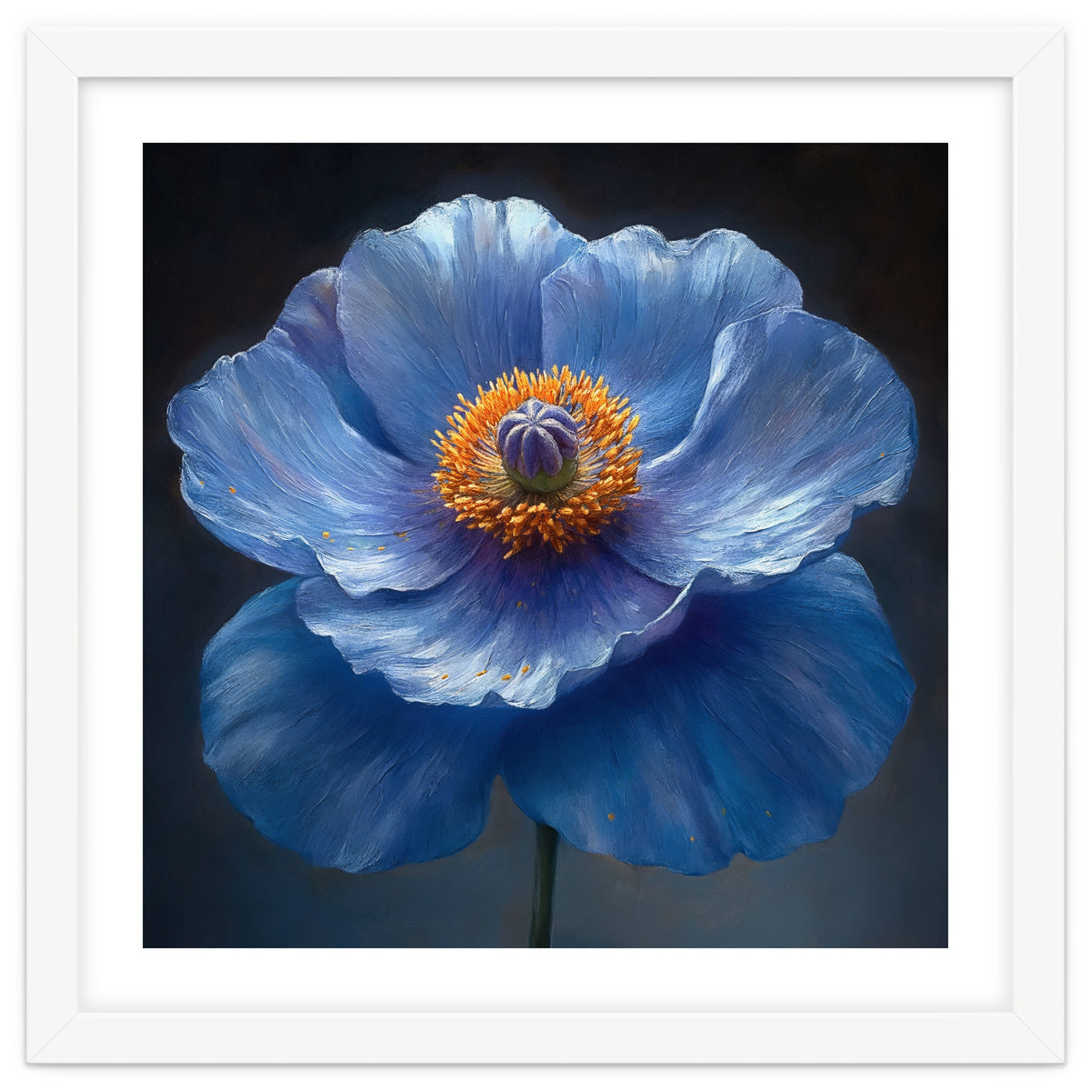 Meconopsis | Sapphire Serenade