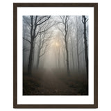 Ethereal Morning Light Breaking Through Dense Forest Fog thumbnail
