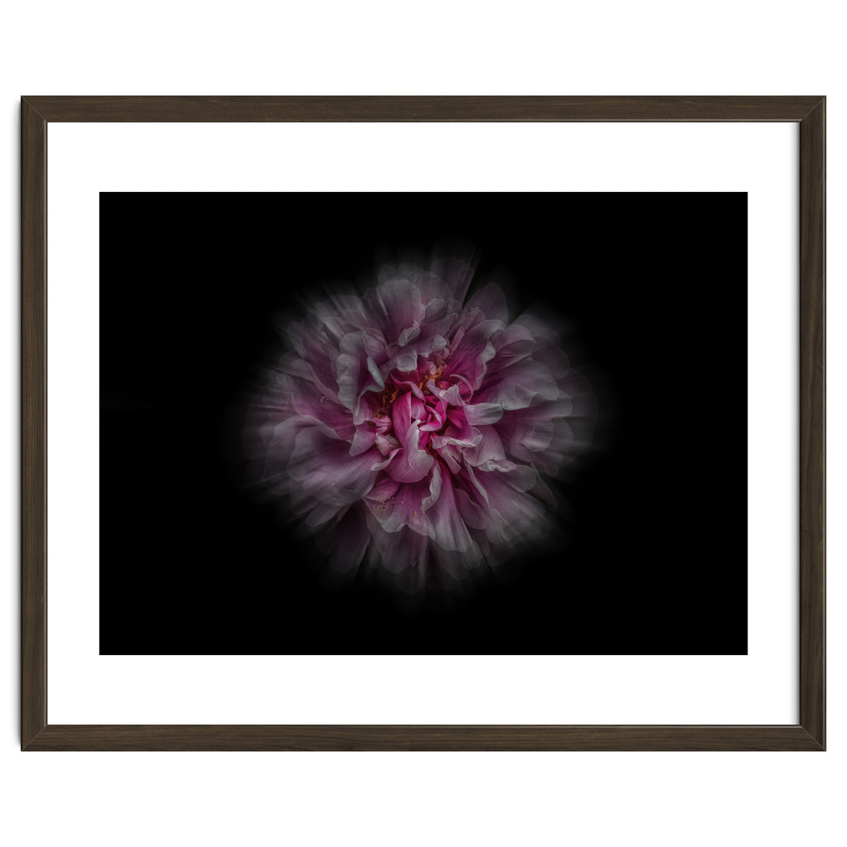 Backyard Flowers No 116 Color Flow Version