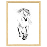 Runninh Ghorse In Water thumbnail