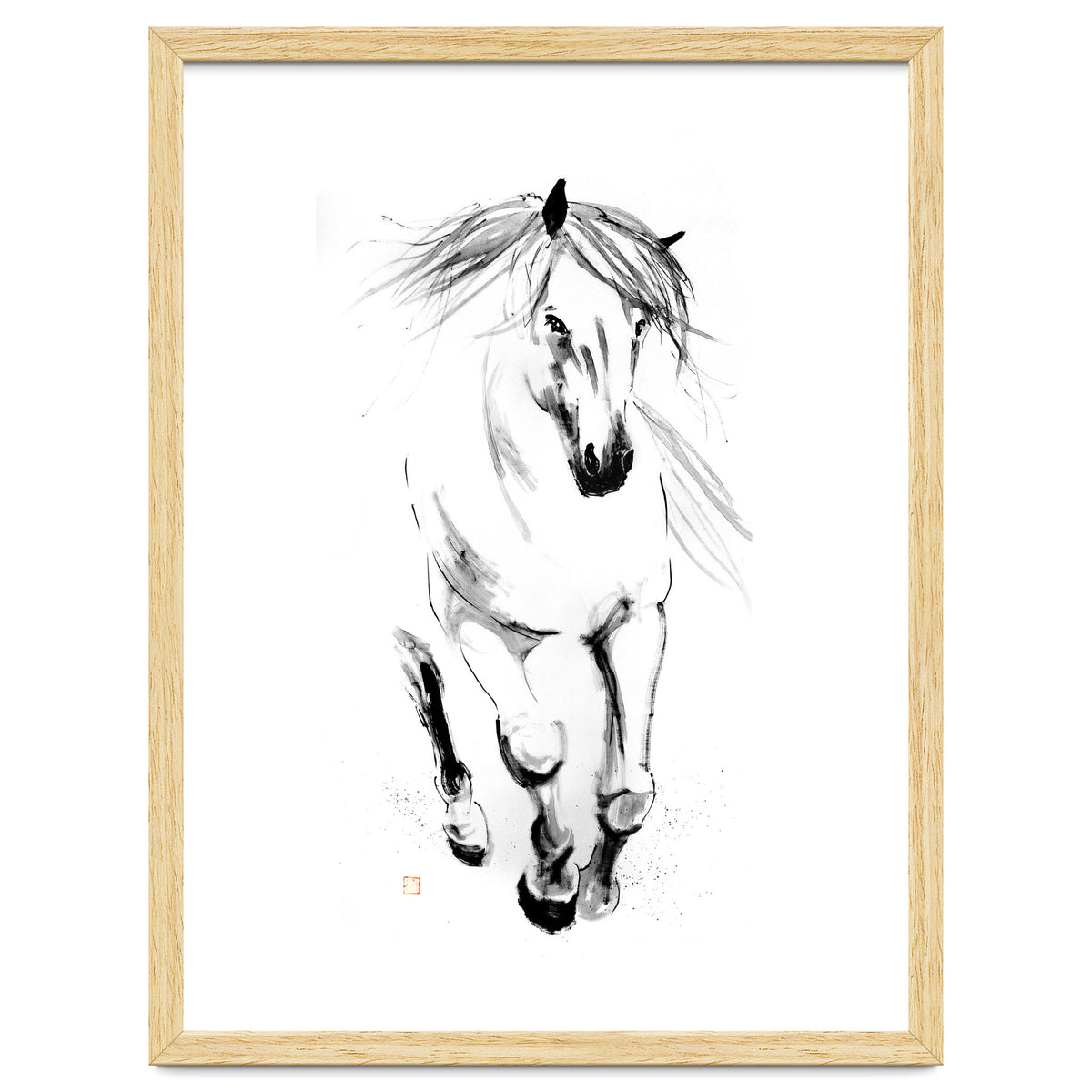 Runninh Ghorse In Water