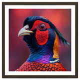 Close Up Pheasant Bird Head Detailed Feathers thumbnail