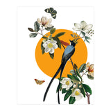 collage floral birds (Print Only) thumbnail