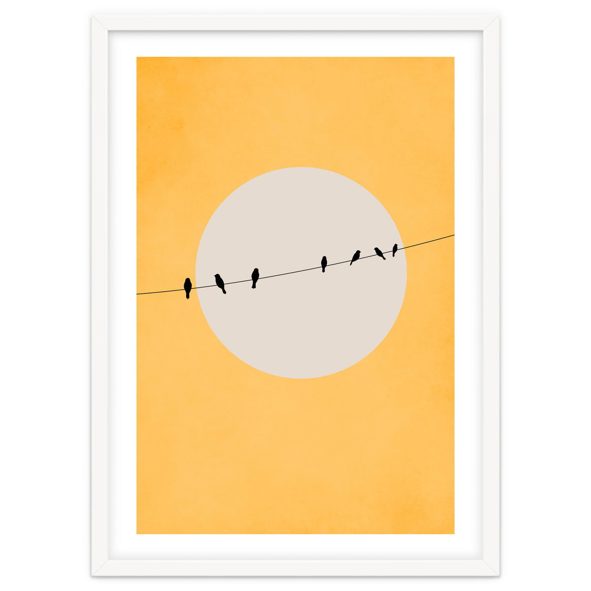 Chirping And Chilling (at Day)