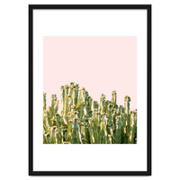 Cactus Blush #society6 #decor #buyart