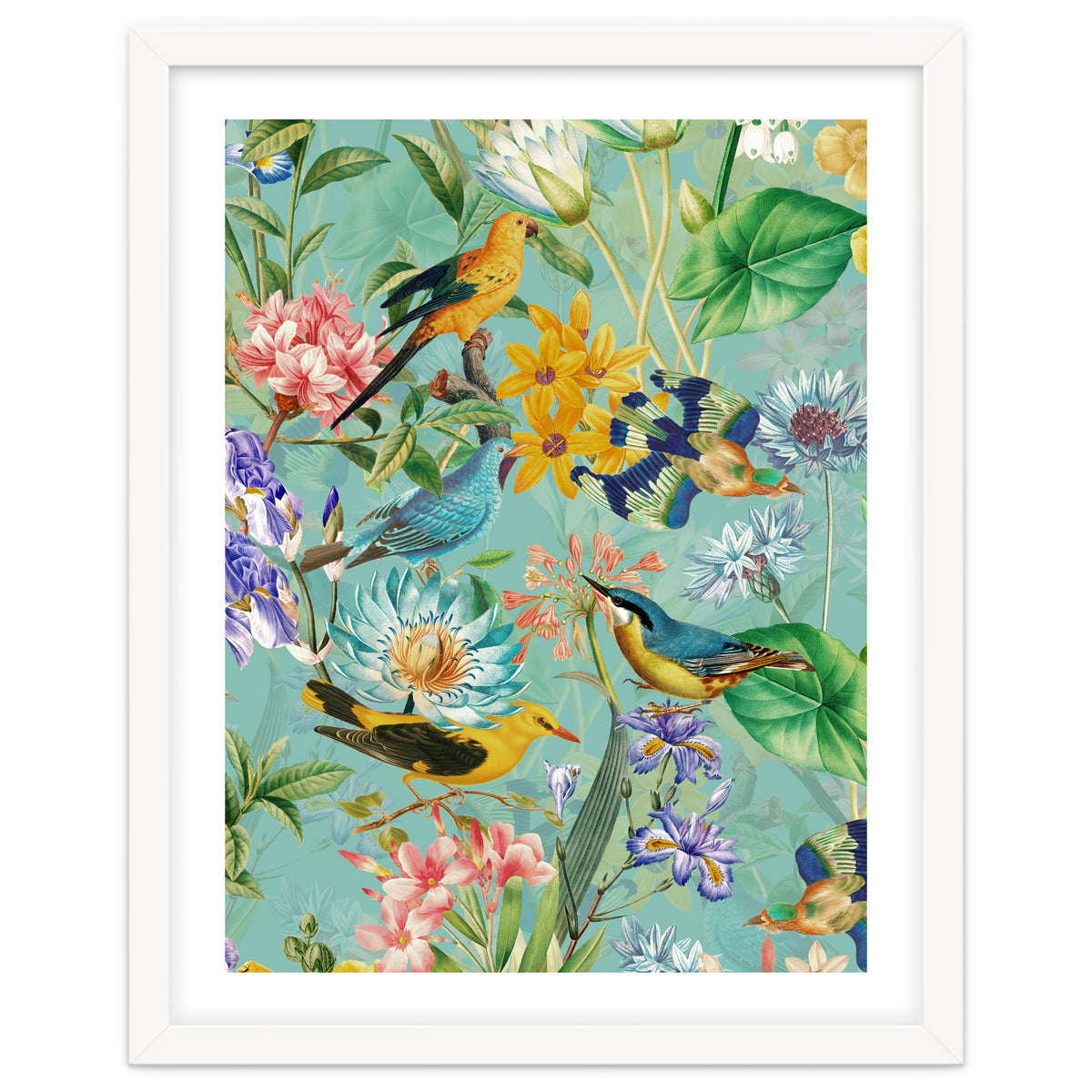 Birds In Tropical Jungle