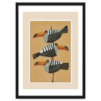 Tropic Trio