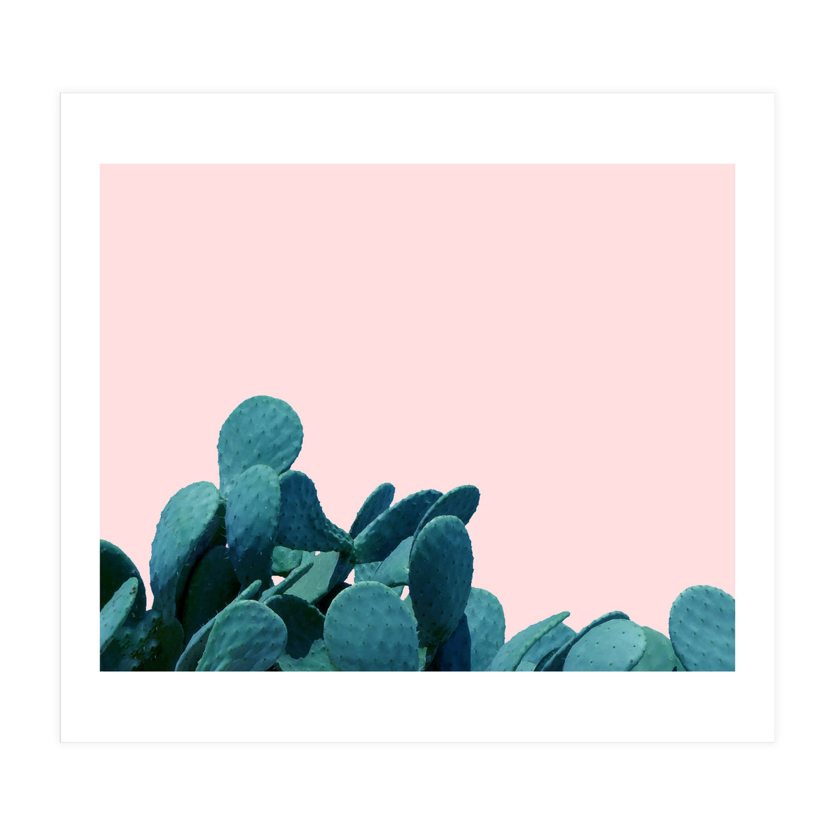 Kaktos (Print Only)