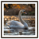 Graceful Swan Gliding On Reflective Water Surface thumbnail