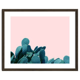 Kaktos thumbnail