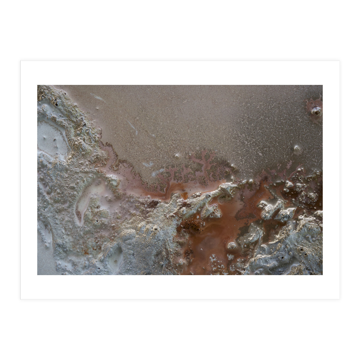 Resilience (Print Only)