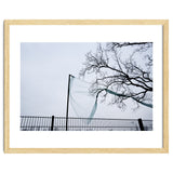 Net caught in a tree thumbnail