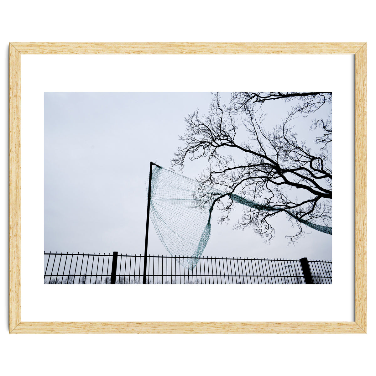 Net caught in a tree