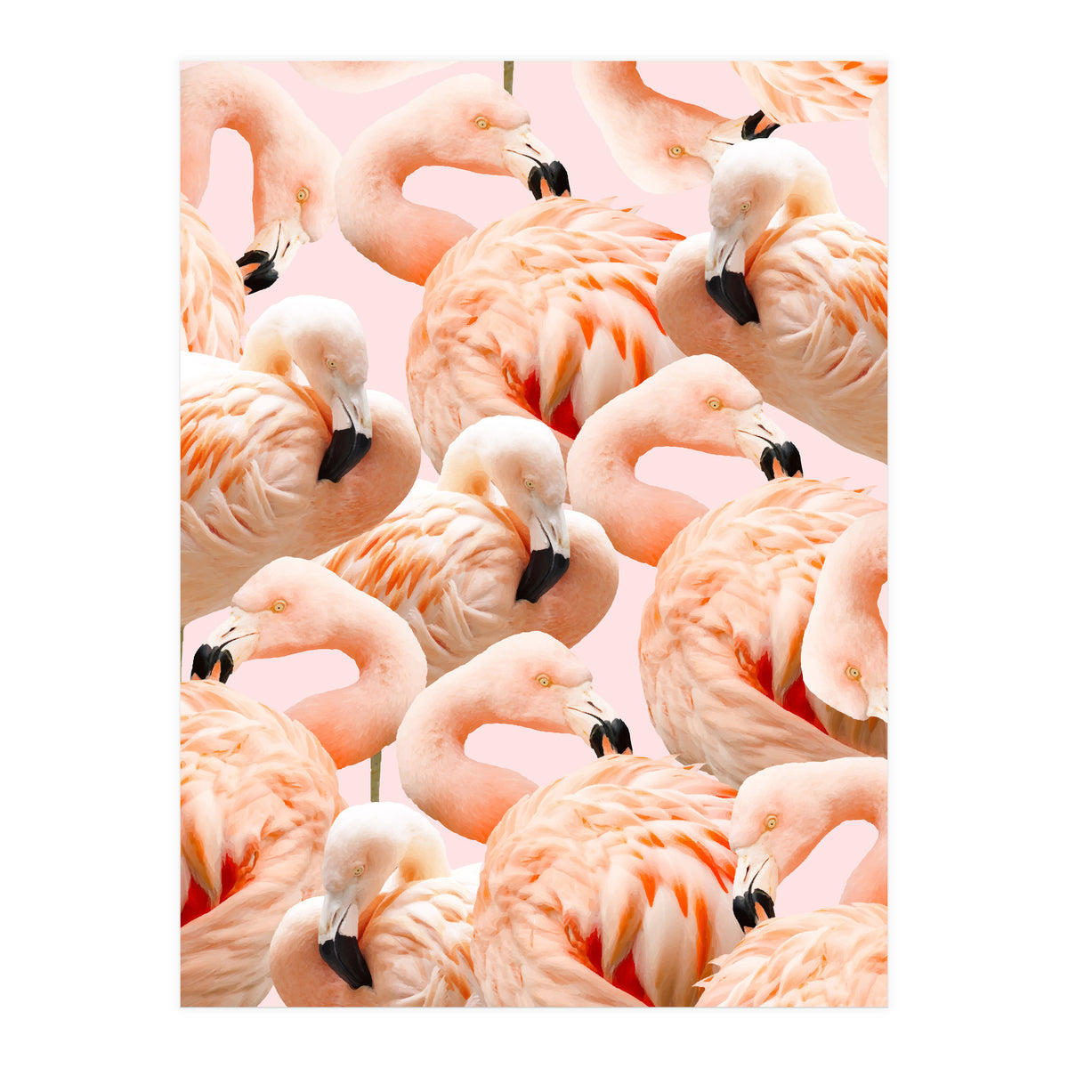 Flamingo Blush #society6 #decor #buyart #flamingoart (Print Only)
