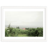 Red Roof house in between the summer green field - Iceland thumbnail