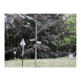 Signs at the corner of the street (Print Only) thumbnail