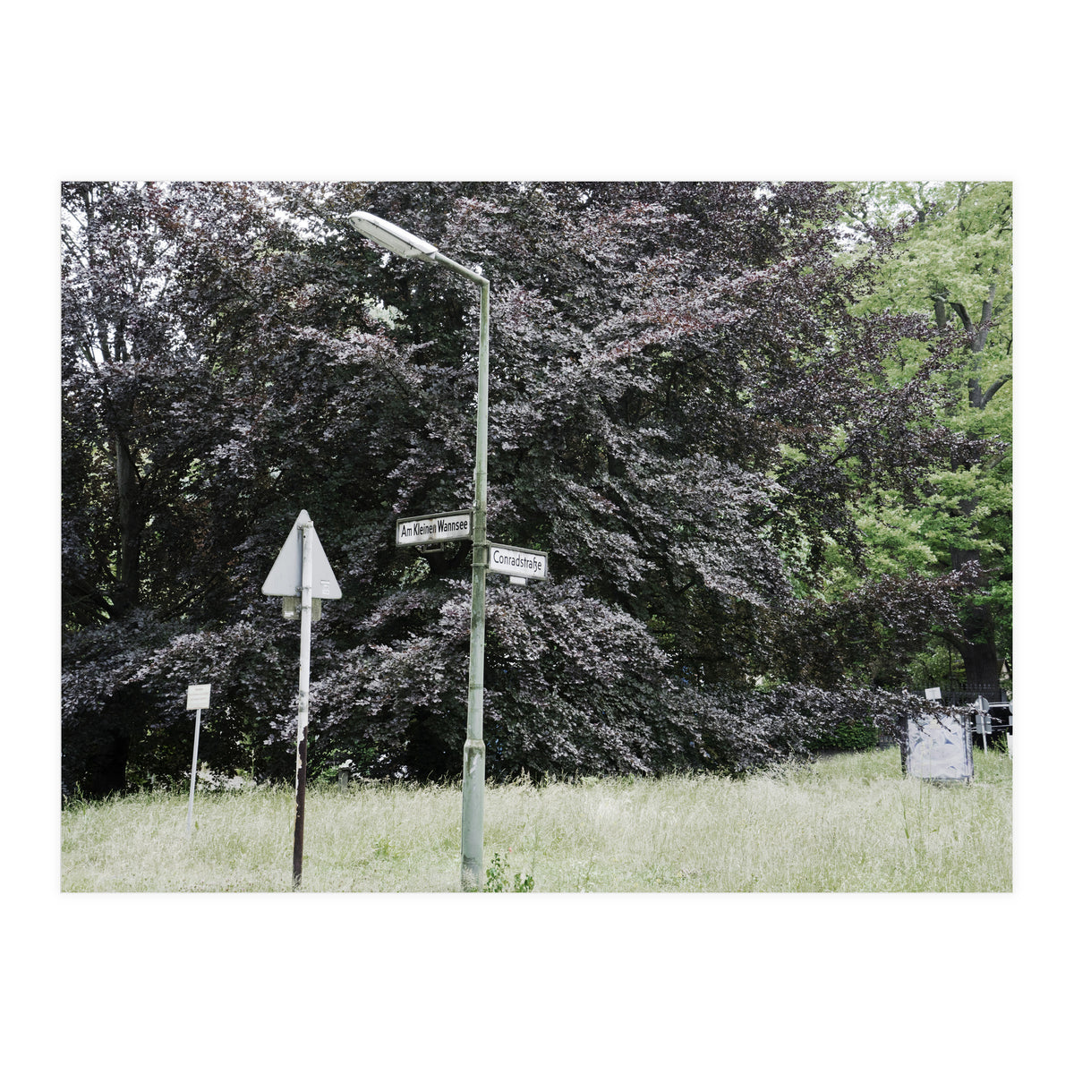 Signs at the corner of the street (Print Only)