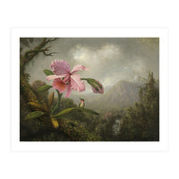 Martin Johnson Heade (Lumberville, 1819-St. Augustine, 1904). Orchid and Hummingbird near a Water... (Print Only)