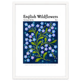 English Wildflowers | Forget-Me-Not thumbnail