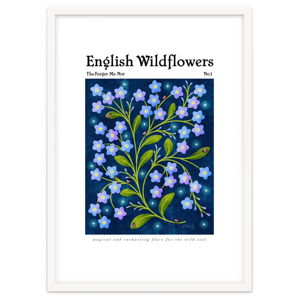 English Wildflowers | Forget-Me-Not