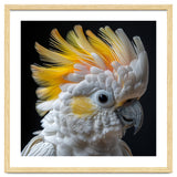 Close Up Of A Cockatoo With Yellow Crest thumbnail