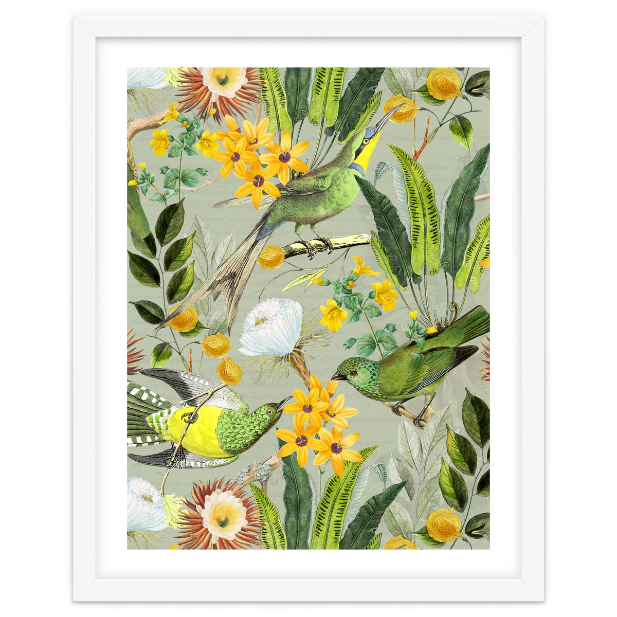 Tropical Birds in Exotic Jungle