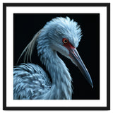 Striking Portrait Of A Blue Heron Bird thumbnail