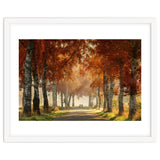 Red autumn thumbnail