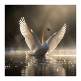 Graceful Swan Spreading Wings On Sparkling Water (Print Only) thumbnail