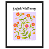 English Wildflowers | Scarlet Pimpernel thumbnail