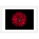 Backyard Flowers No 45 Color Flow Version thumbnail