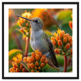 Hummingbird Perched On Orange Flowers thumbnail