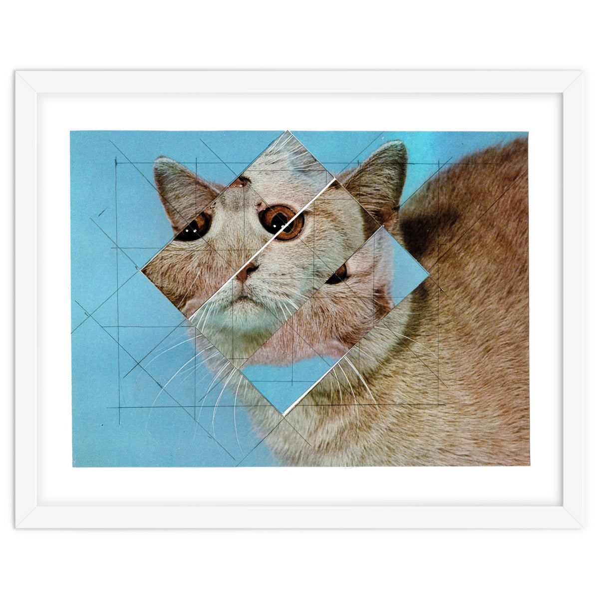 The Depressive Cat Am Abend Bekommt Den Blues