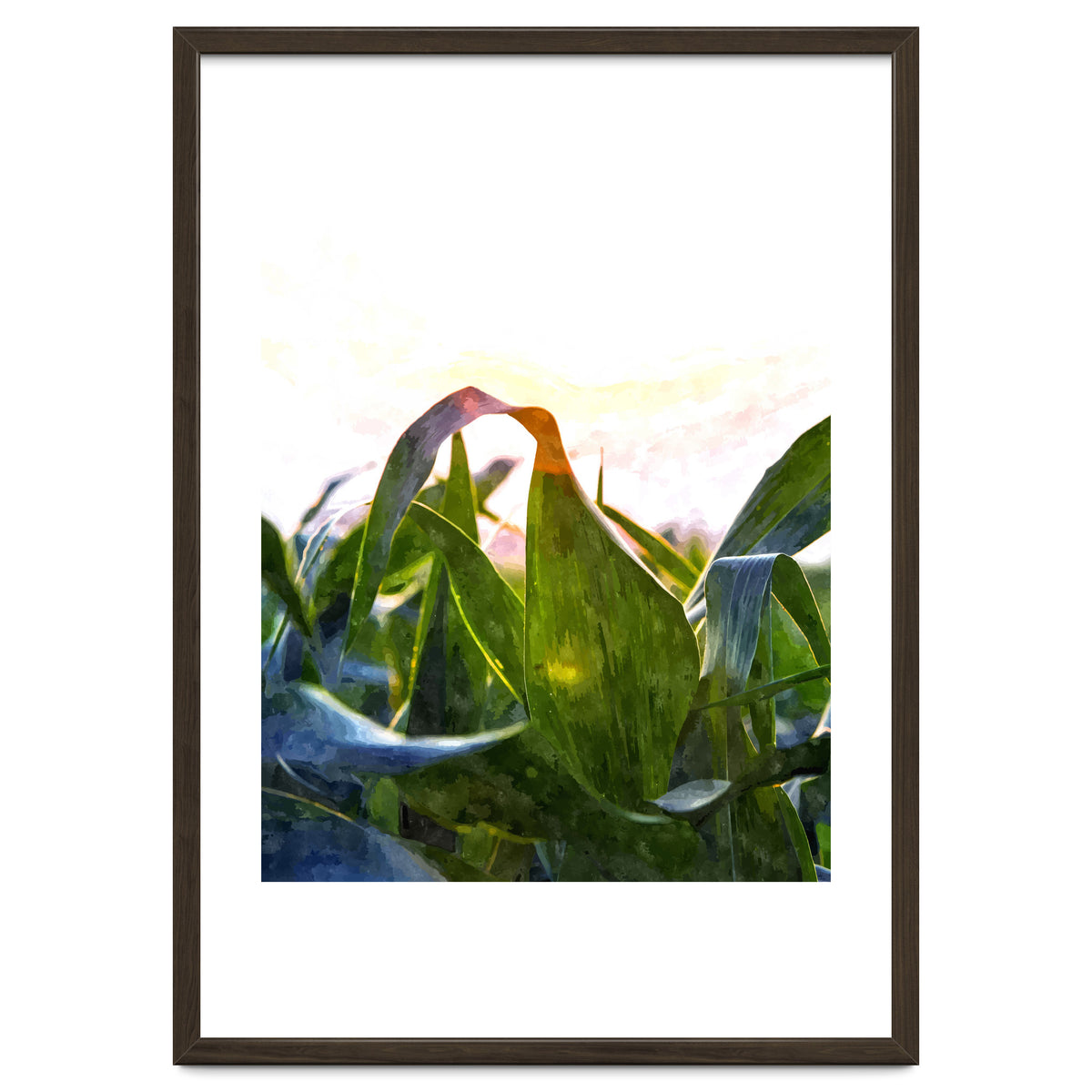 Hope With Abstraction