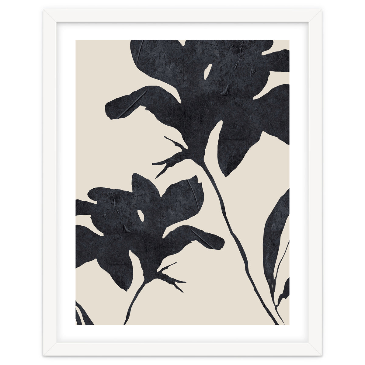 Shadowed Blooms