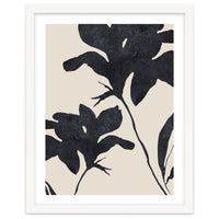 Shadowed Blooms