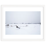 Drinking fountain covered with snow thumbnail