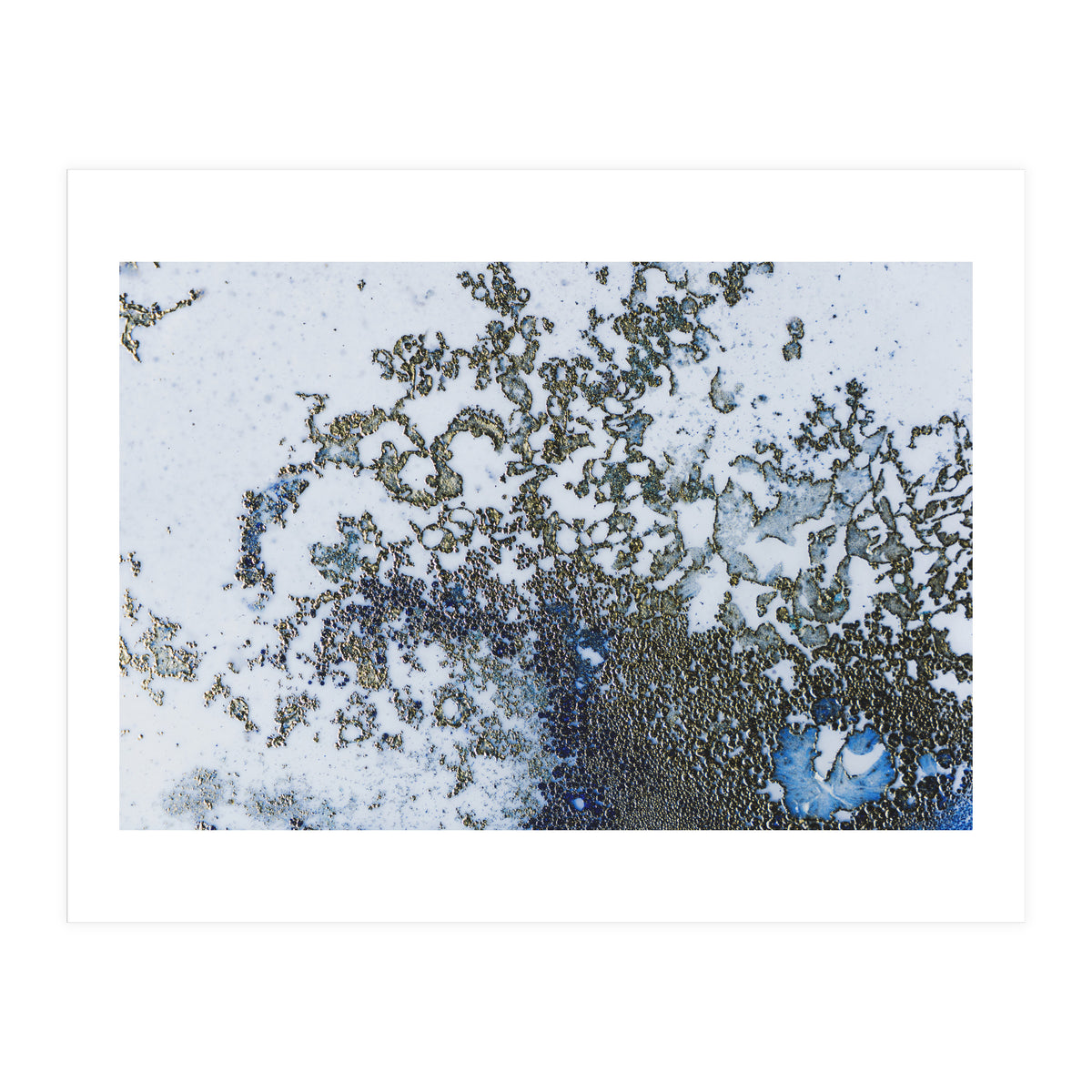 Coral Rising (Print Only)