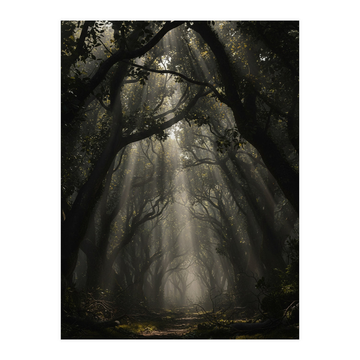 Enchanted Canopy: Mystical Forest Path (Print Only)