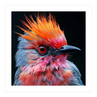 Close Up Of Exotic Bird With Vibrant Plumage (Print Only)