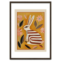 Striped Hare