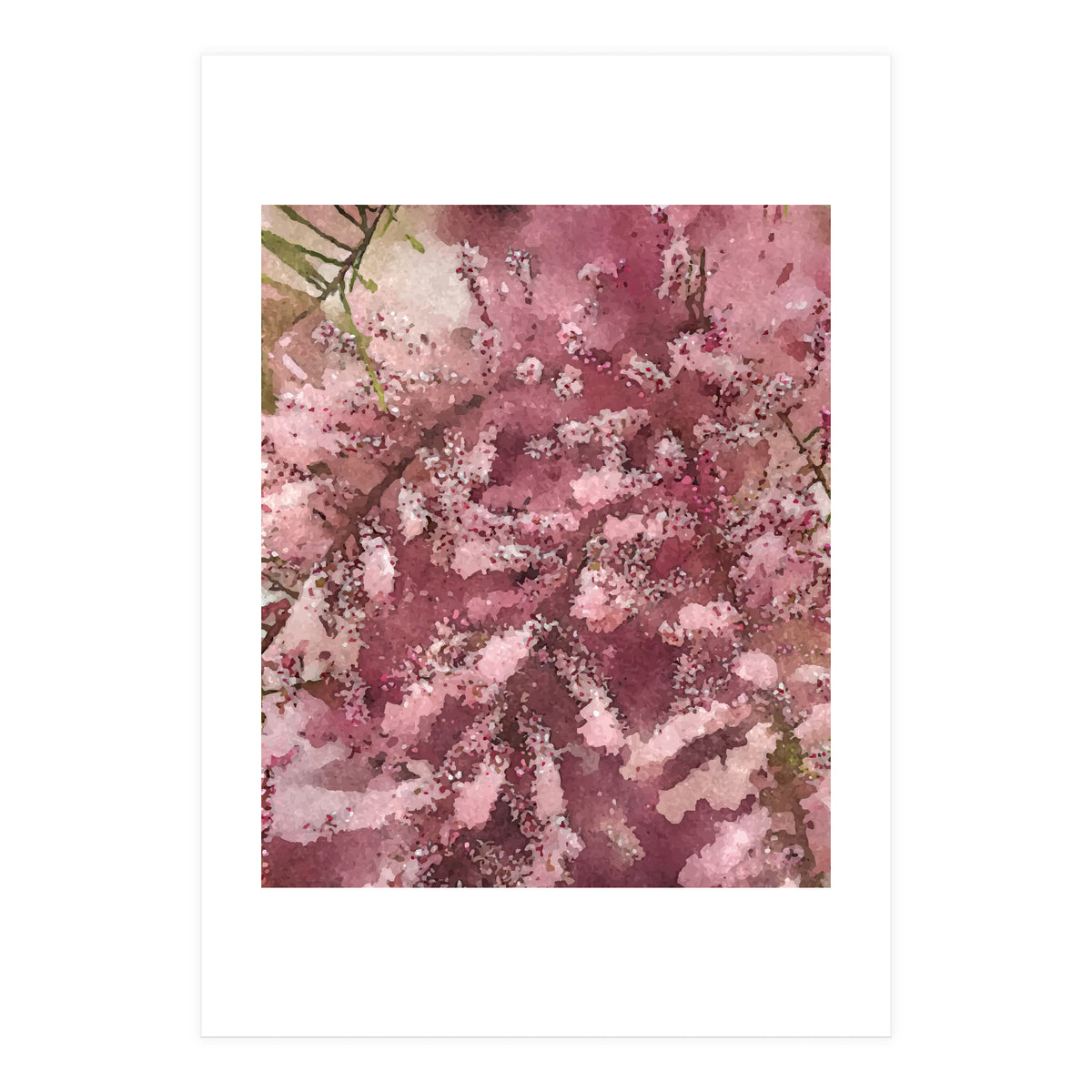 Pink Blossom (Print Only)