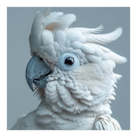 White Cockatoo Bird Portrait Close Up (Print Only)