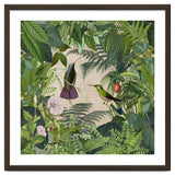 Tropical Hummingbird Jungle thumbnail