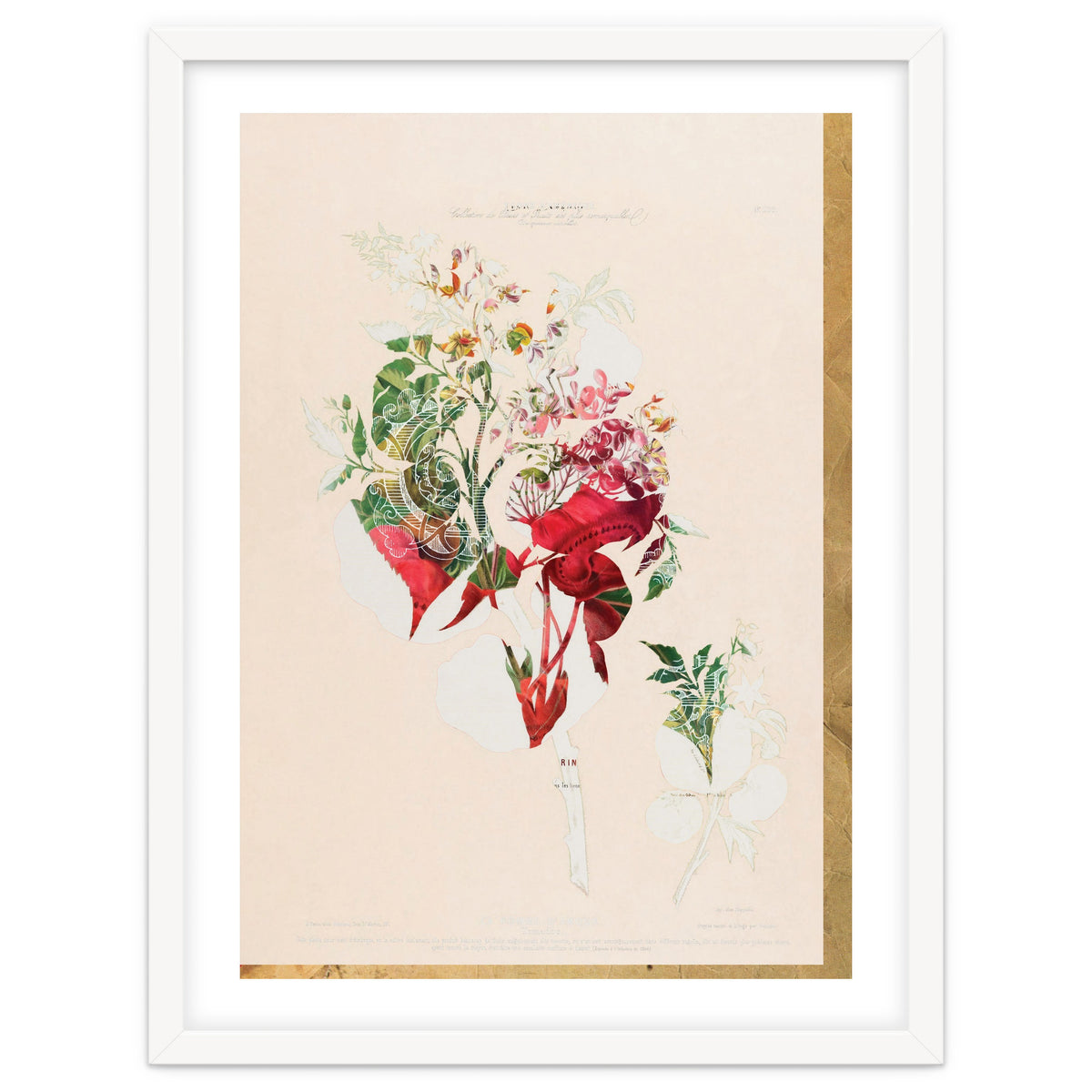 The First Plant · Aufbluehen