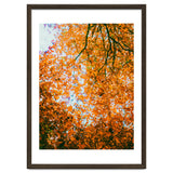 Autumn Leaves thumbnail